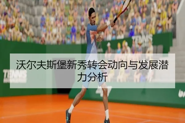 沃尔夫斯堡新秀转会动向与发展潜力分析
